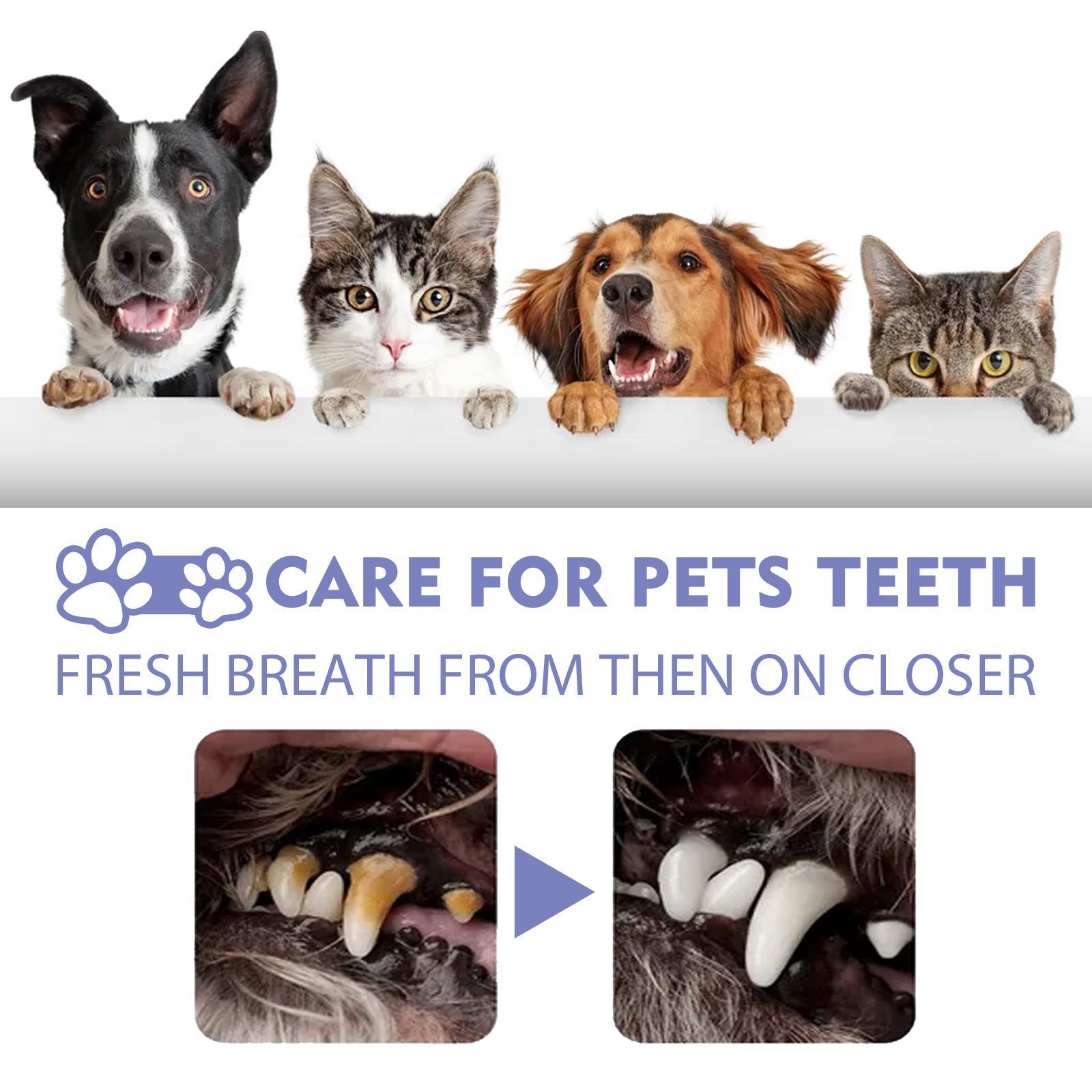Pet Oral Care Spray – Fresh Breath & Daily Dental Support (30ml)