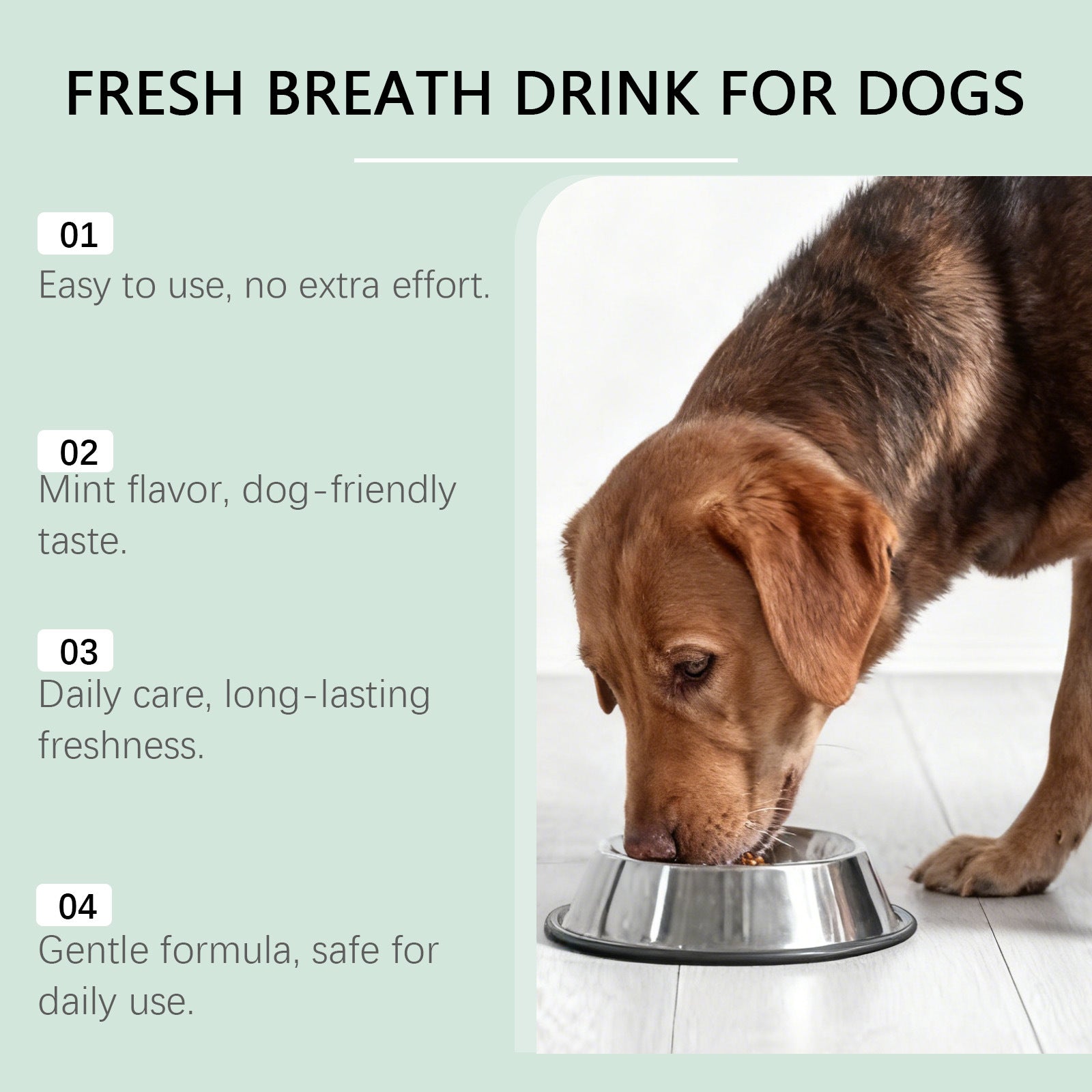 Fresh Breath Dental Water Additive for Dogs – Mint Flavor (150ml)
