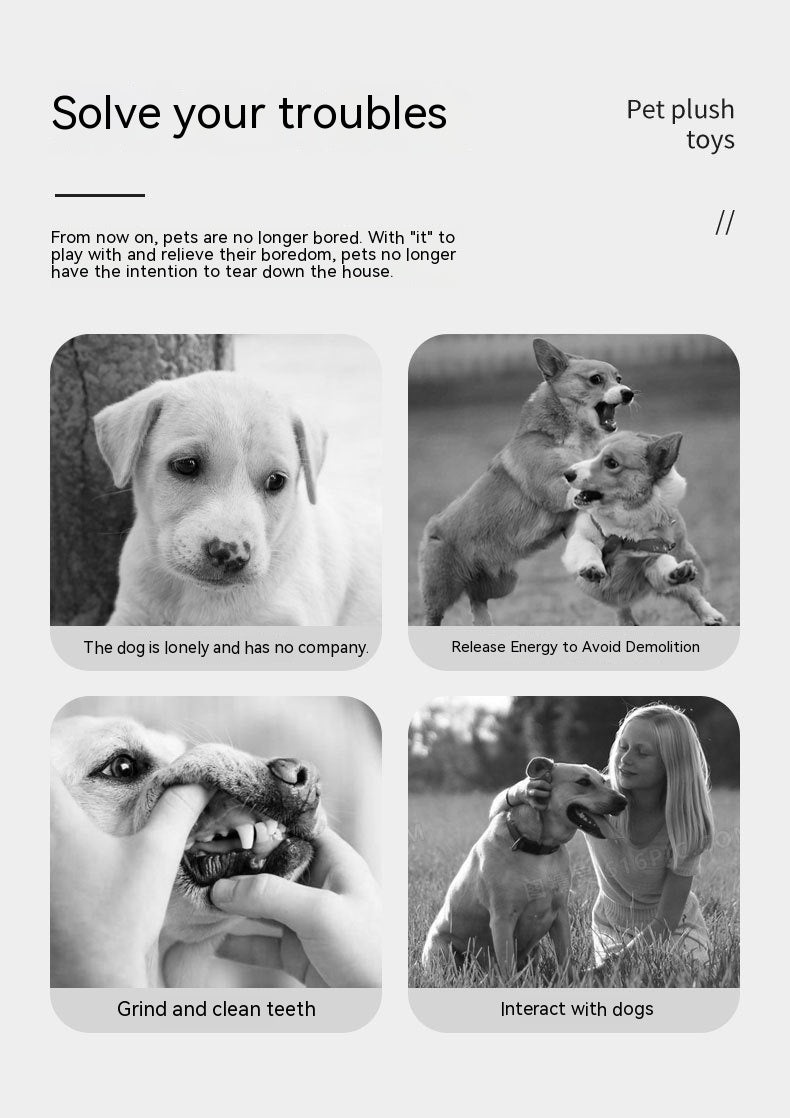 Champagne Bottle Plush Dog Toy – Soft Bite-Resistant Play Toy