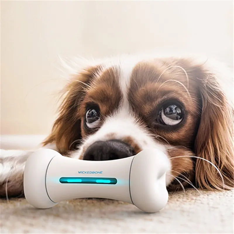 Smart Electric Pet Toy - Intelligent Robot Bone