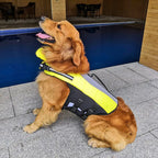 Inflatable Dog Life Jacket