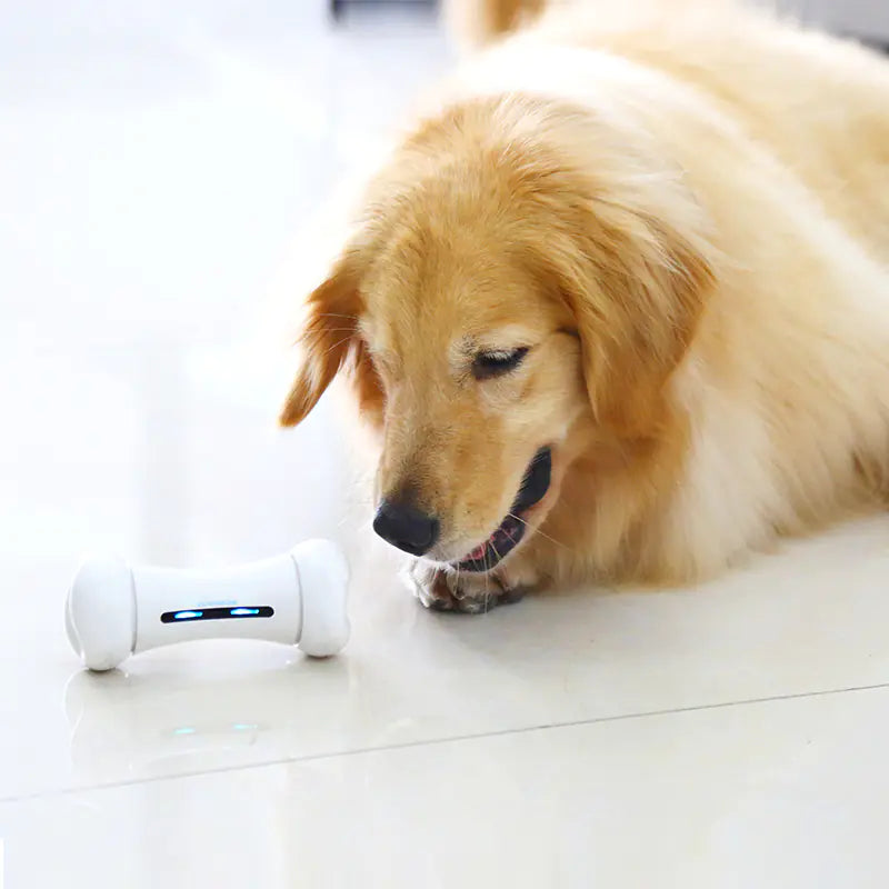 Smart Electric Pet Toy - Intelligent Robot Bone
