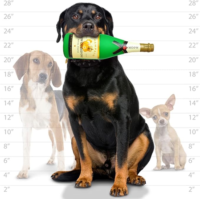 Silly Squeakers “Meow Chased One” Wine Bottle Dog Toy – Floating Vinyl Squeaky Toy