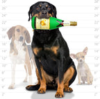 Silly Squeakers “Meow Chased One” Wine Bottle Dog Toy – Floating Vinyl Squeaky Toy