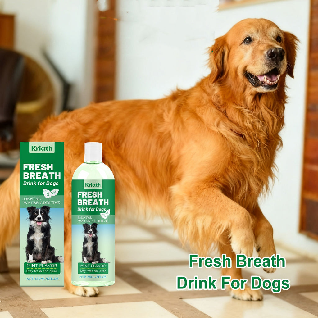 Fresh Breath Dental Water Additive for Dogs – Mint Flavor (150ml)