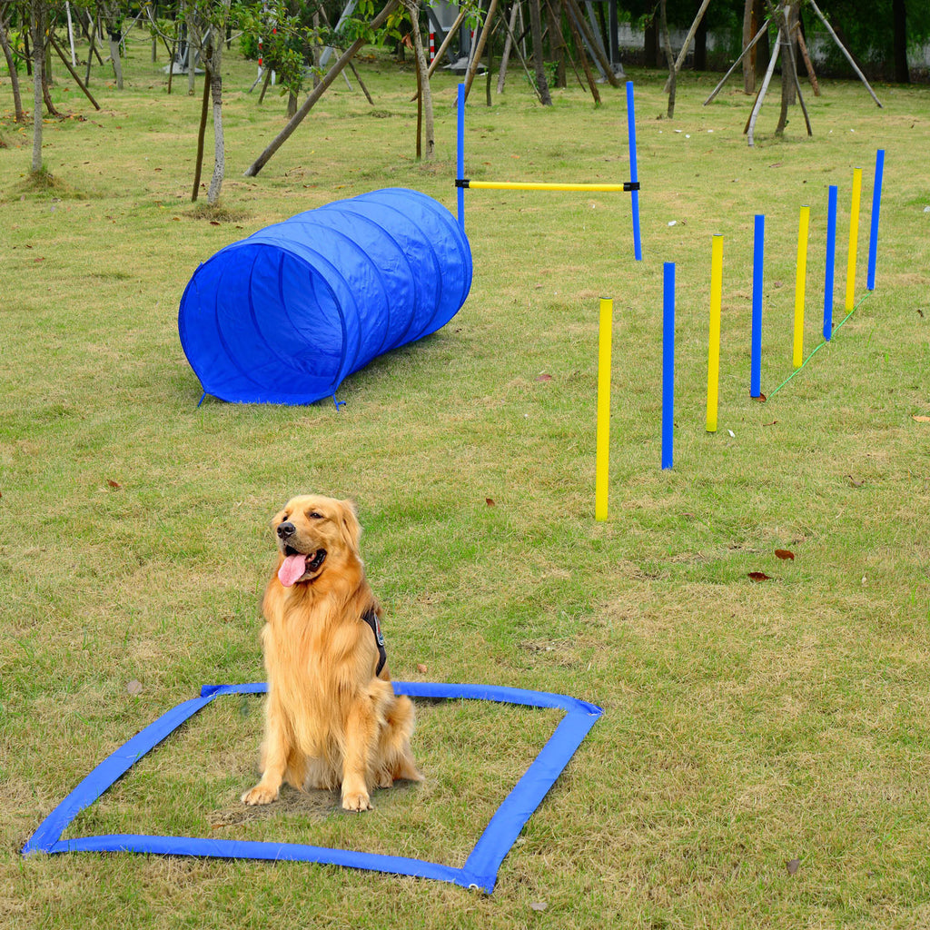 Portable Dog Agility Training Set – Adjustable Jump, Weave Poles & Ring with Carry Bag