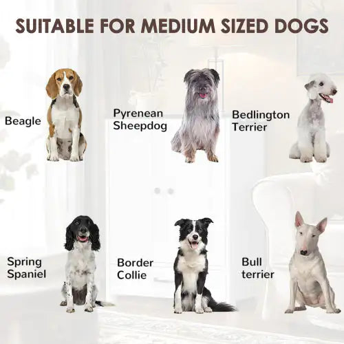 Dog Feeding Station with Hidden Bowls & Storage Locker