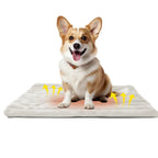 CloudWarm Self-Heat Dog Pad, White