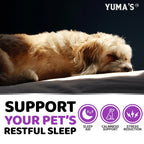 YUMA's Melatonin Calming Chews, 170 ct