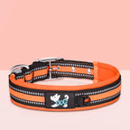 HaloGlow Reflective Leash Collar