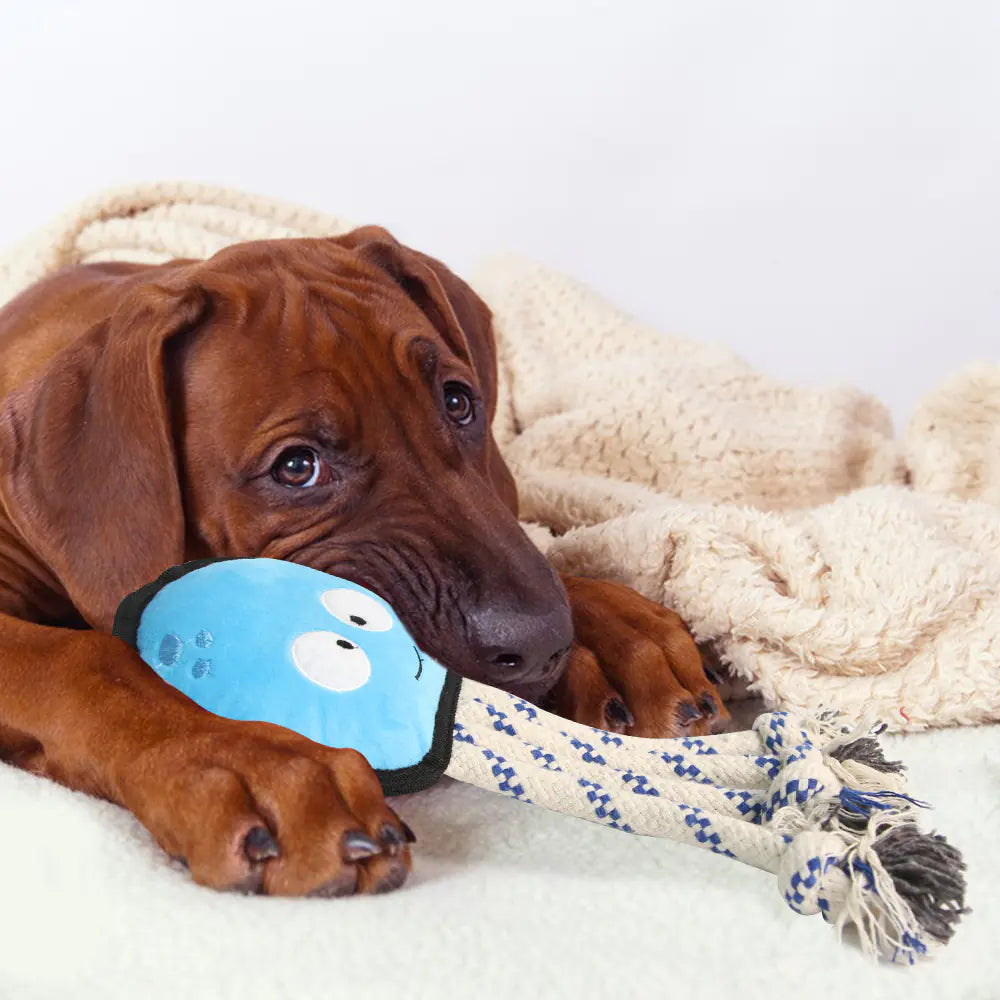 Plush Cartoon Octopus Dog Toy for Chewing Companion
