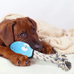 Plush Cartoon Octopus Dog Chew Toy