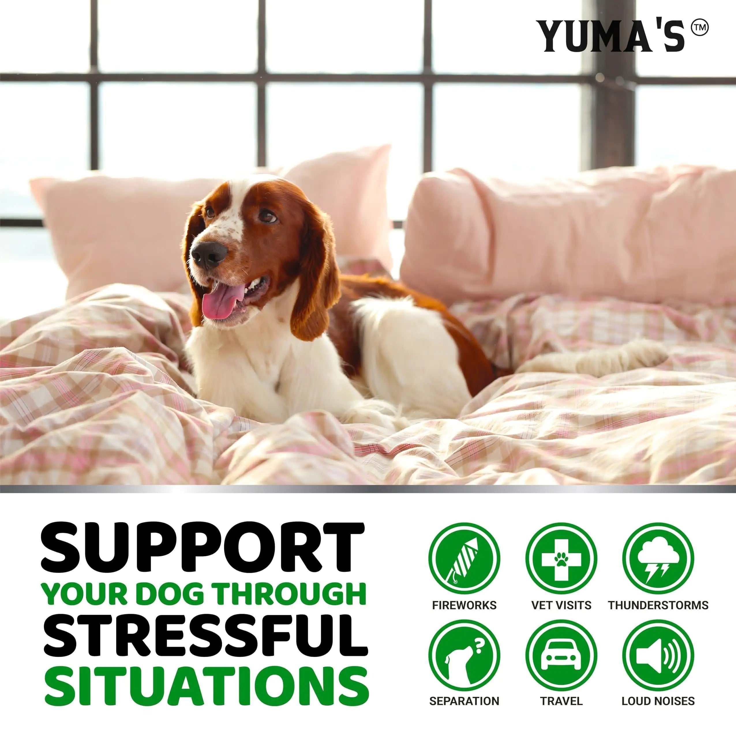 YUMA'S Hemp Calming Chews, 170 Chews Chicken Flavor