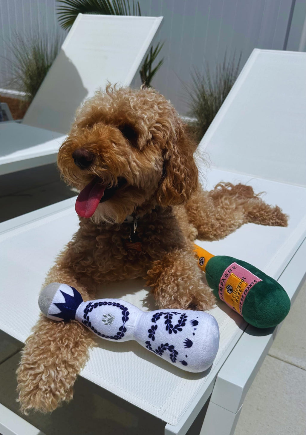 Tequila Bottle Plush Dog Toy – Soft Squeaky Novelty Toy