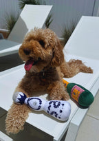 Tequila Bottle Plush Dog Toy – Soft Squeaky Novelty Toy
