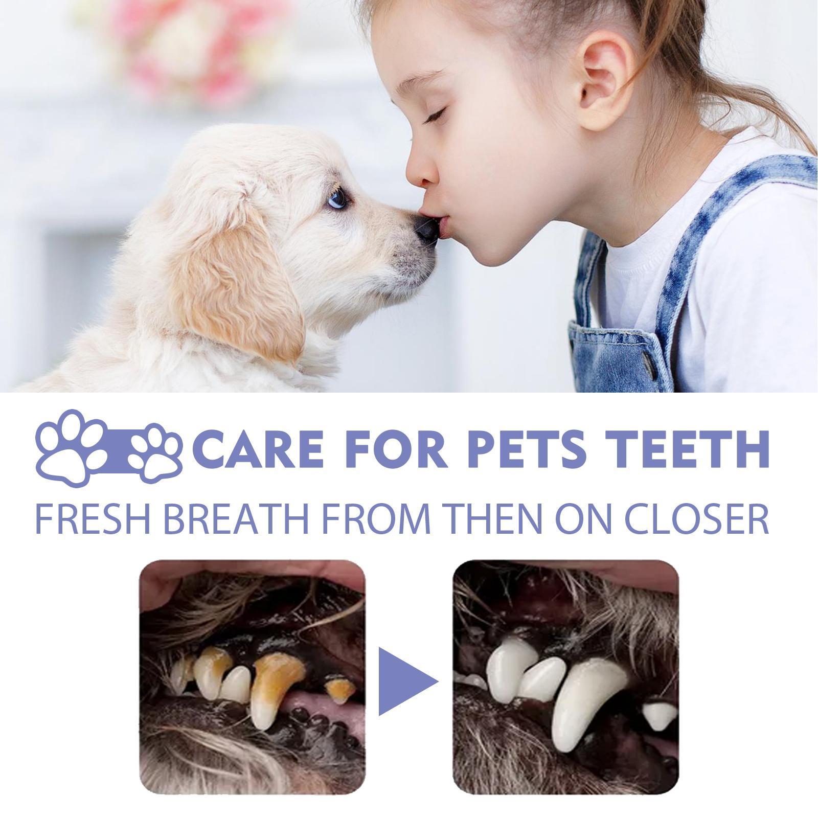 No-Brush Pet Oral Care Spray – Fresh Breath & Daily Dental Support (50ml)