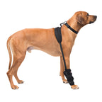 Caldera Pet Therapy Carpal Wrap with Gel (Black L)