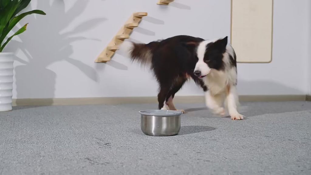 4L Stainless Steel Floating No-Splash Pet Water Bowl – Controlled-Flow Hydration for Dogs & Cats