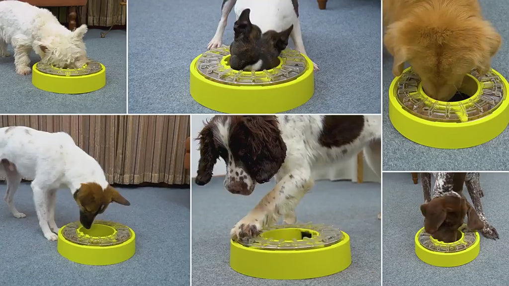 KADTC Large Capacity Adjustable Slow Spinning Dog Puzzle Feeder Bowl