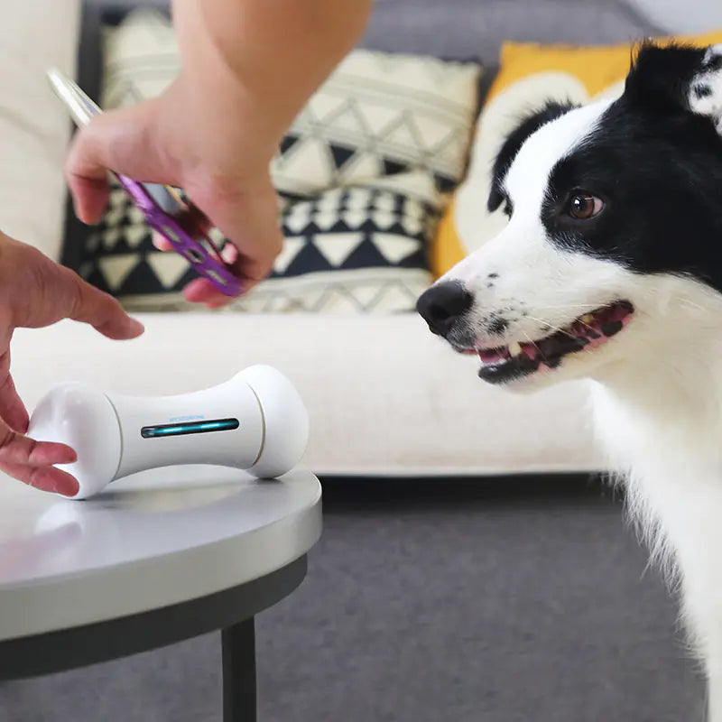 Smart Electric Pet Toy - Intelligent Robot Bone