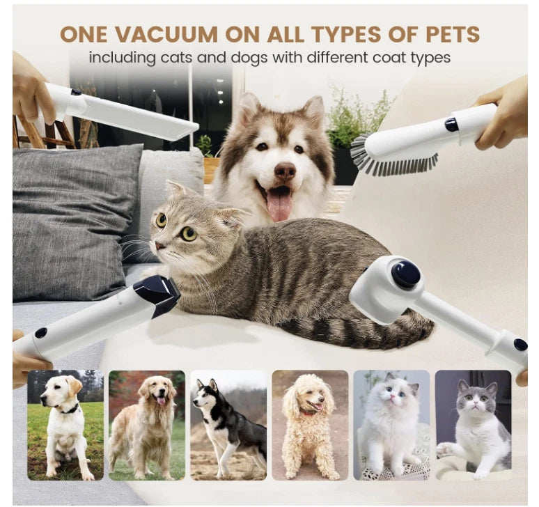 P50 Pet Grooming Vacuum Kit 2.5L with Dog Clippers & Deshedding Tools