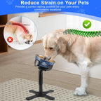 Elevated Adjustable Dog Bowl Stand – Raised Feeding Stand with 3 Heights & Tilted Angle for Medium & Large Dogs (2-Pack)