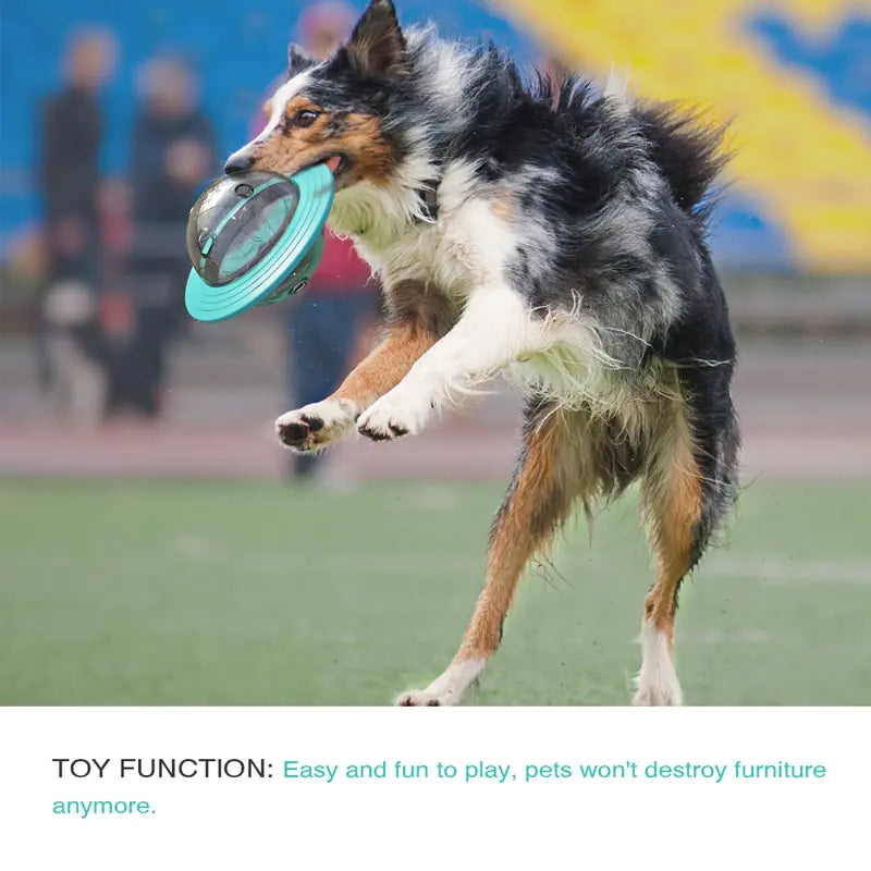Rotating Disc Dog Feeder Toy - Bite Resistant Interactive Frisbee