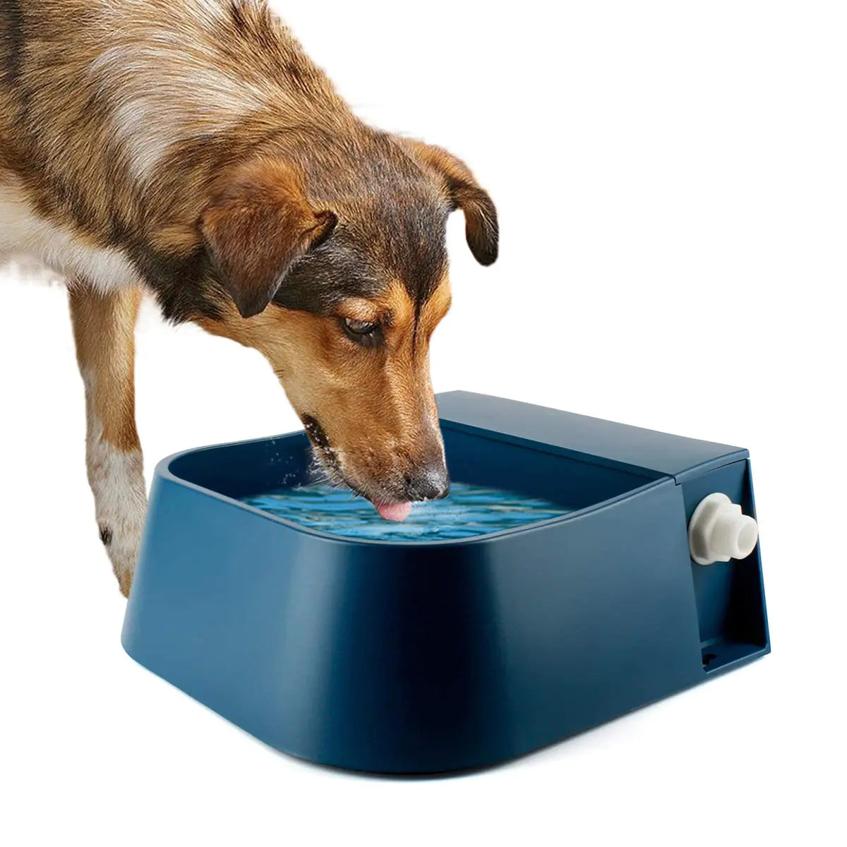Lesypet Auto-Fill Outdoor Water Bowl